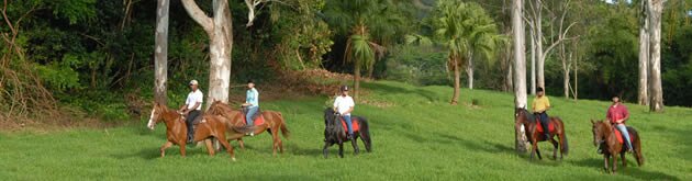 Horse Riding at Domaine de l'Etoile