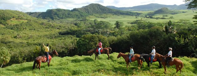 Horse Riding at Domaine de l'Etoile