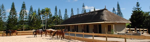 Horse stable at Domaine de l'Etoile