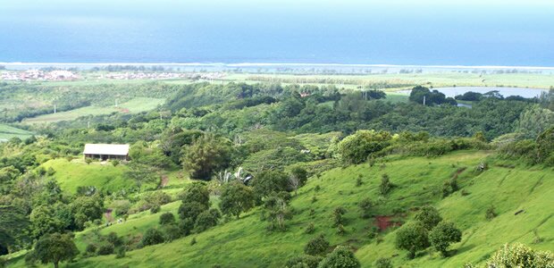Scenery at Fr&eacute;d&eacute;rica R&eacute;serve Naturelle in Mauritius