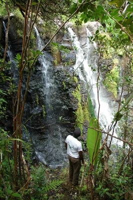 Hiking at Domaine des 7 Vall&eacute;es in Mauritius