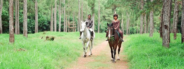 Horse riding at Domaine des 7 Vall&eacute;es in Mauritius