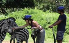 Casela Nature & Leisure Park