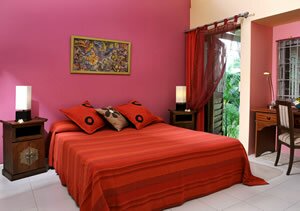 Villa Flamboyant Les Lataniers Bleus