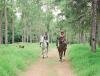 Horse riding at Domaine des 7 Vall�es in Mauritius Domaine des 7 Vall�es, Mauritius